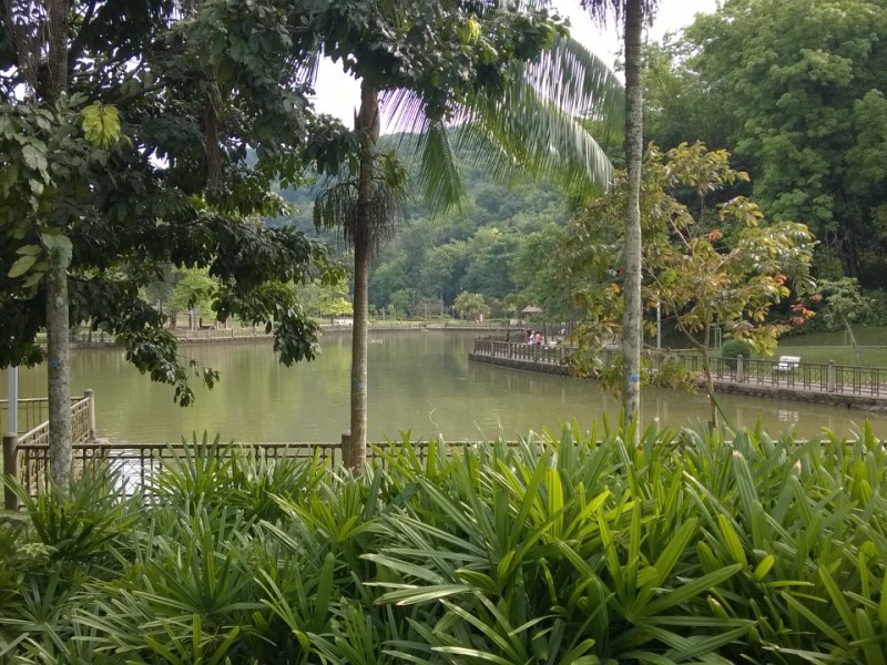 Bukit Kiara Federal Park, TTDI, KUALA LUMPUR